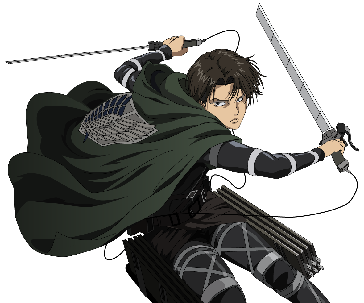 ImageIllustrationLevi